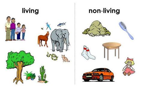 Living and Nonliving Things for Kids: Life Science for Children.